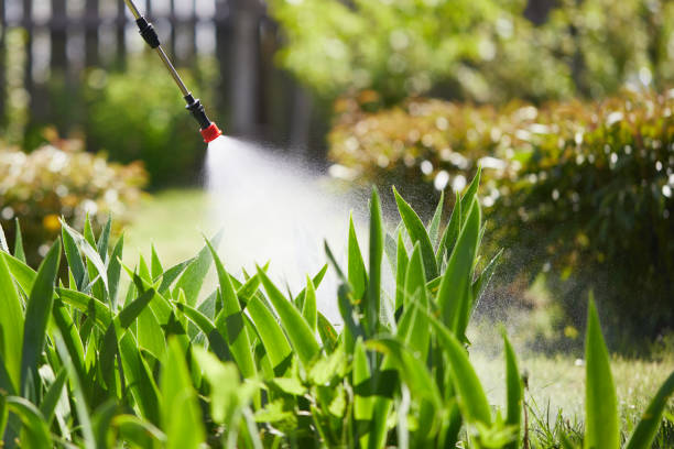 Tamper-Resistant Bait Stations for Rodents in Whitwell