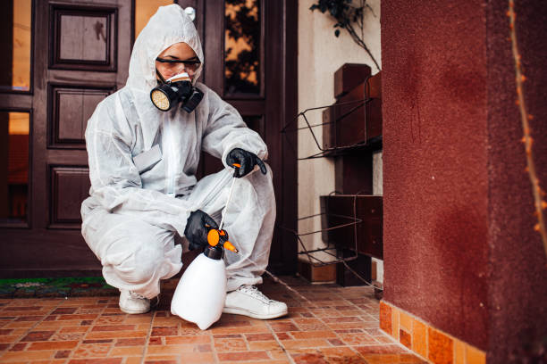 Attic and Crawl Space Rodent Treatment in Whitwell