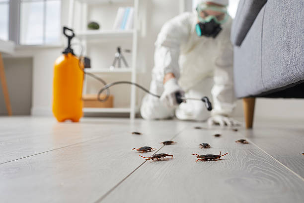 Commercial Rodent Management in Whitwell